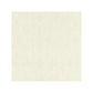 Sample 27197-001 Antigua Weave, Alabaster - Scalamandre Fabric (SC 000127197)