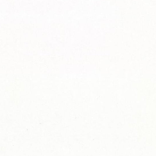 Buy 2910-92599 Warner Basics V Foster Off-White 20.5-in Unpasted Liner Wallpaper White by Warner Wallpaper