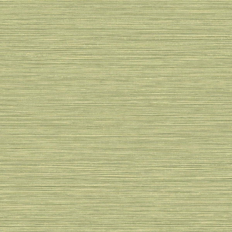 Search BV30104 Texture Gallery Grasslands Lime Moss  by Seabrook Wallpaper