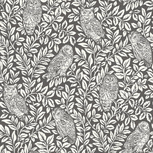 Looking 3115-12415 Farmhouse Parliament Brown Owl Brown by Chesapeake Wallpaper