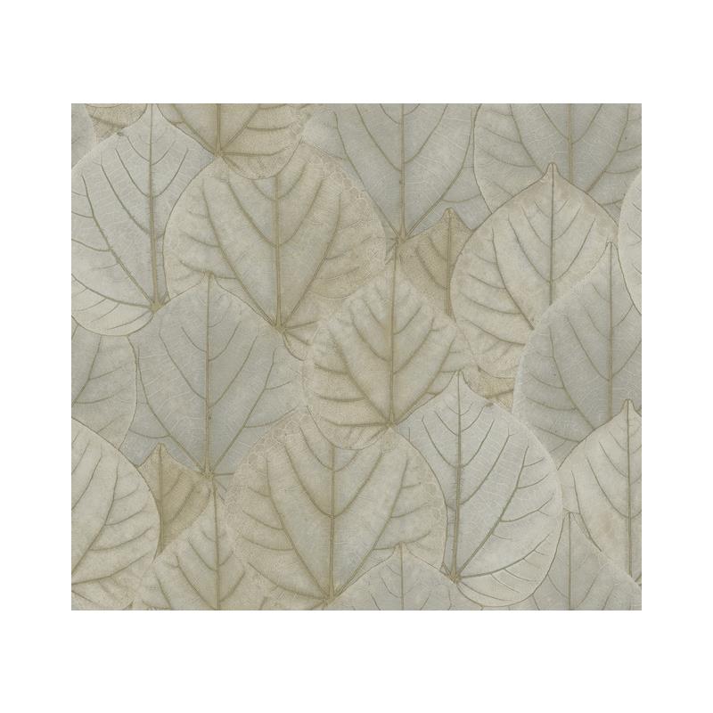 OS4243 Leaf Concerto