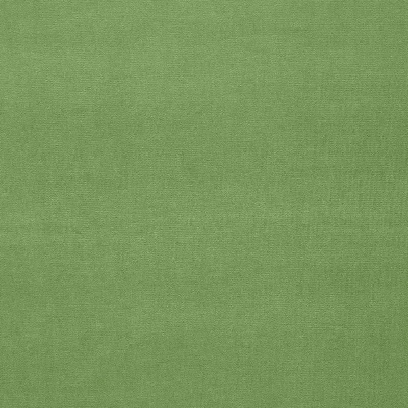 Purchase sample of 42873 Gainsborough Velvet, Willow by Schumacher Fabric