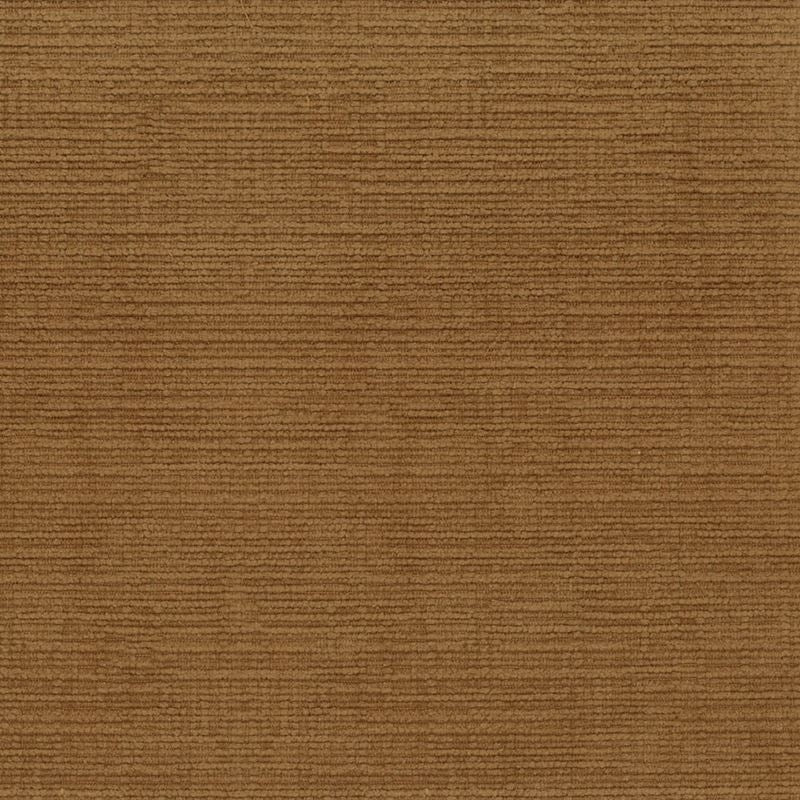 Sample REAC-6 Reach Pecan by Stout