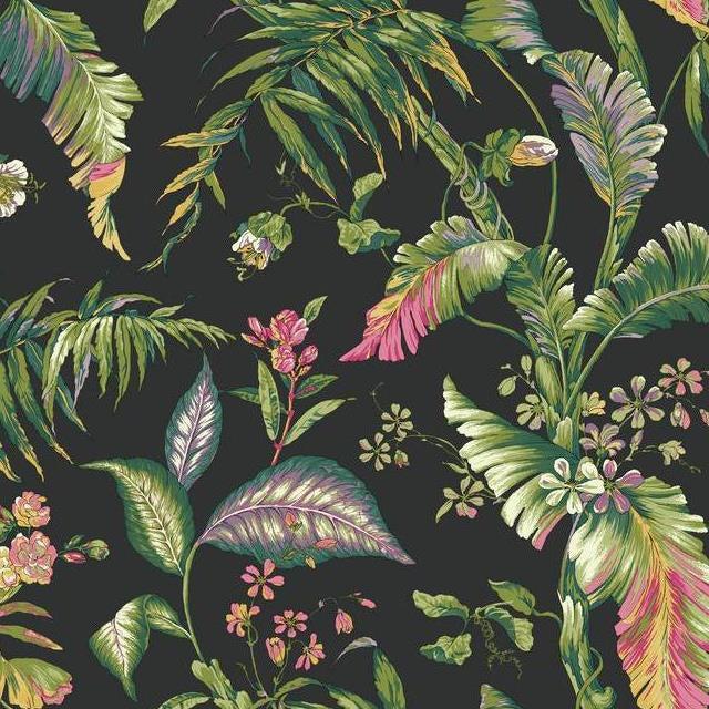 Buy AT7093 Ashford Tropics Fiji Garden  color black leaf Ashford House Wallpaper