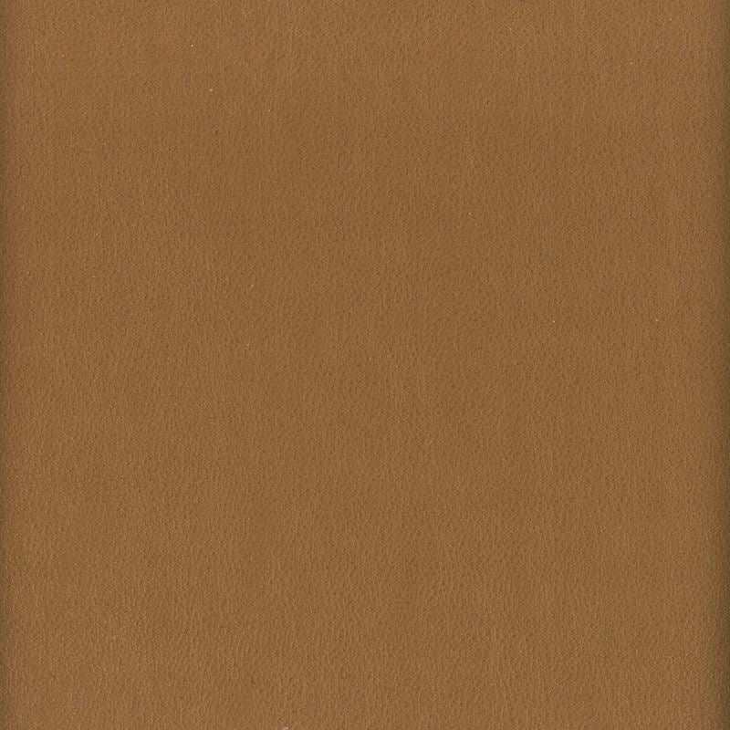 Sample ELBE-3 Elbert, Nut Stout Fabric