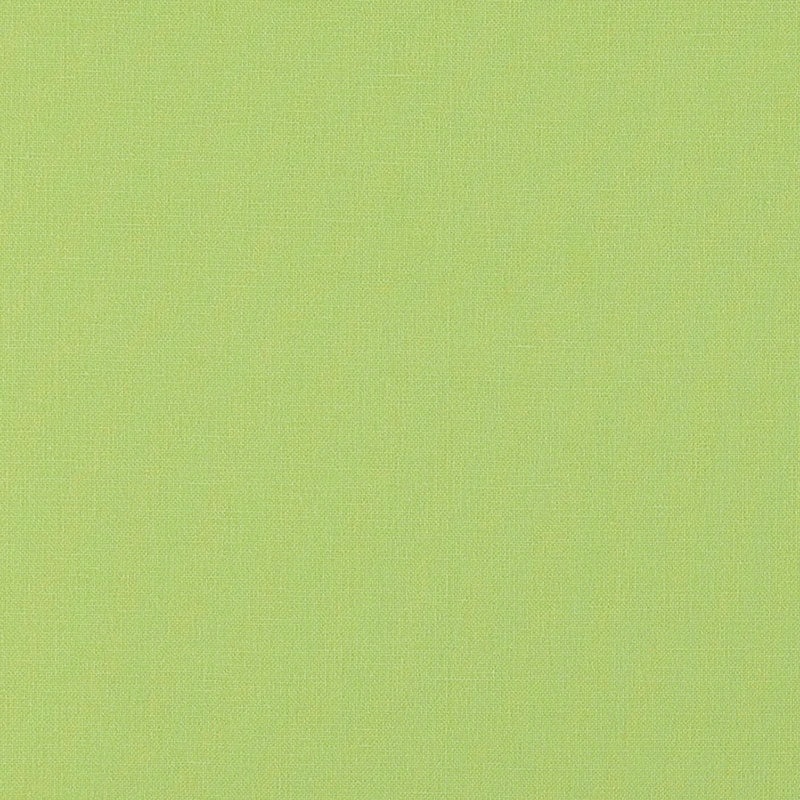Purchase sample of 69667 Langham, Lime by Schumacher Fabric