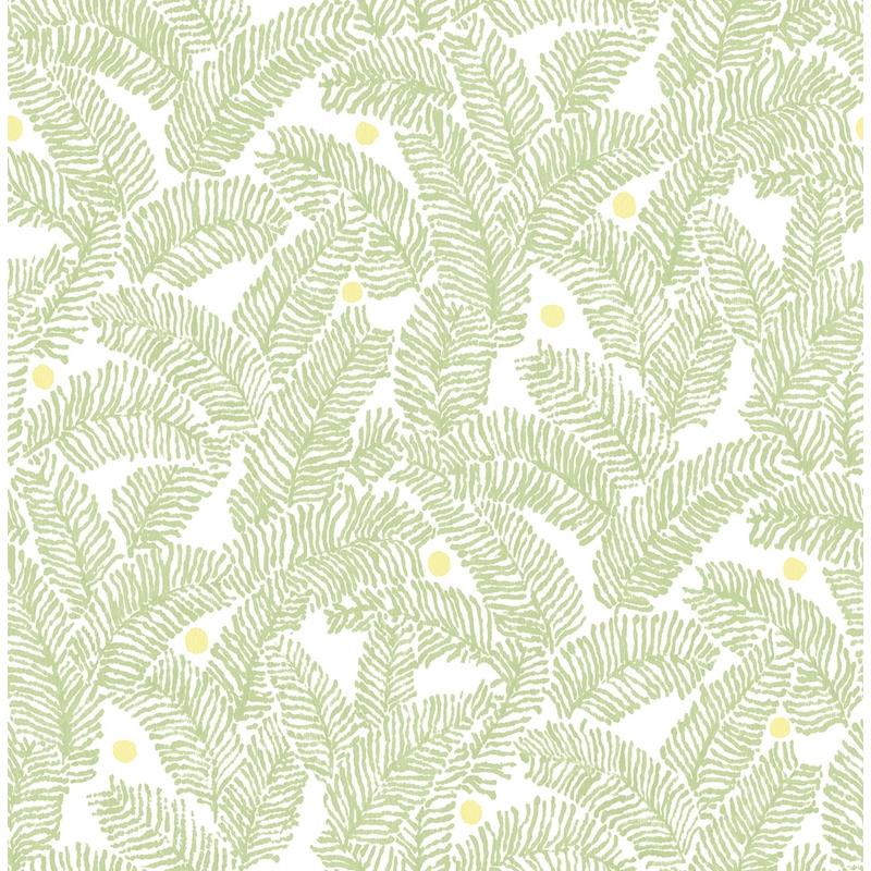 View 2969-26033 Pacifica Athina Sage Fern Sage A-Street Prints Wallpaper