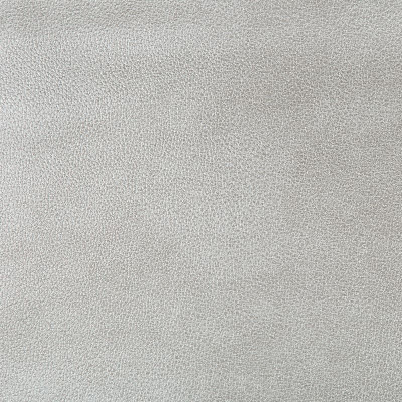 Sample AZERI.11.0 Silver Upholstery Skins Fabric by Kravet Design