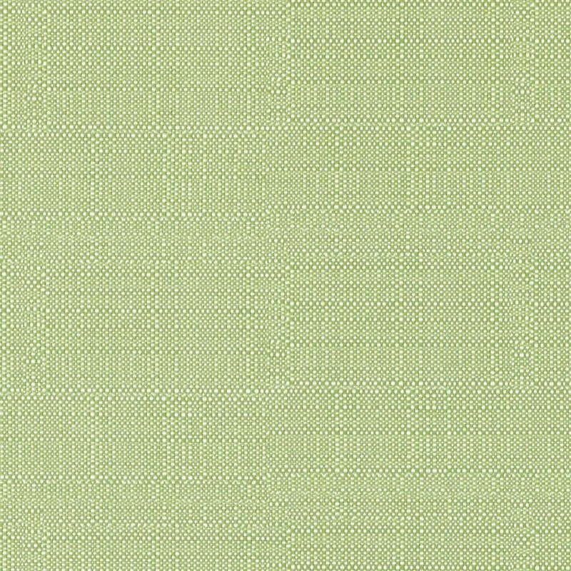 Dw16052-399 | Pistachio - Duralee Fabric