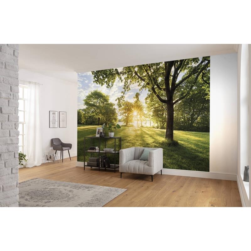 8-743 Colours  Golden Moment Wall Mural by Brewster,8-743 Colours  Golden Moment Wall Mural by Brewster2