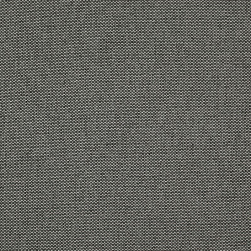 LO8206 | Light Year Graphite by Maxwell Fabric