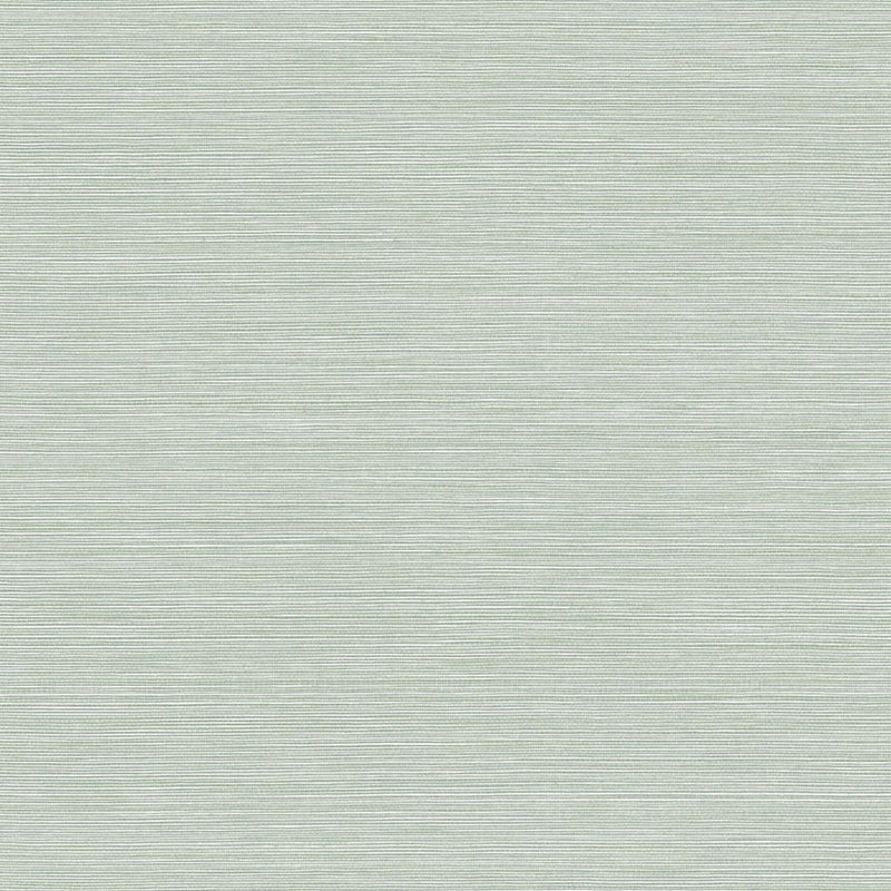 Buy BV30444 Texture Gallery Coastal Hemp Tender Green  by Seabrook Wallpaper