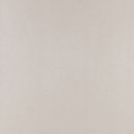 Shop 2707201 Fire Island Birch Schumacher Wallpaper