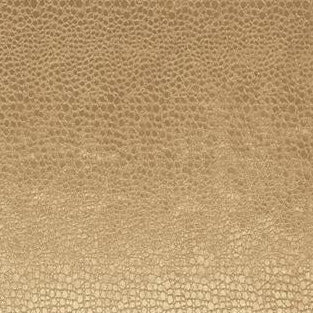 Purchase F0469-1 Pulse Antique by Clarke and Clarke Fabric