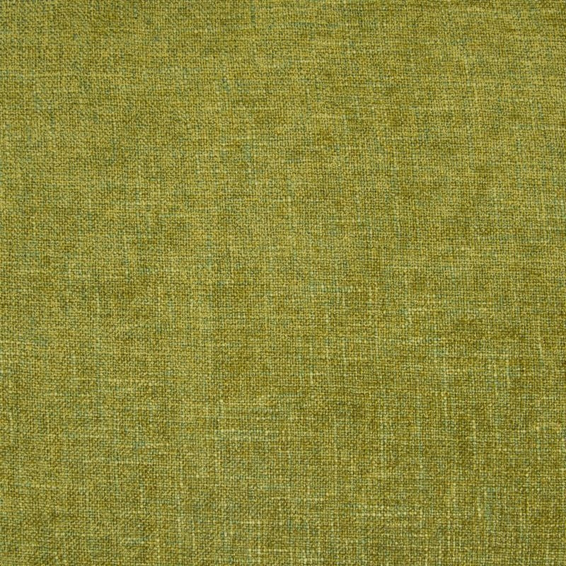 B3822 Fern | Contemporary, Chenille - Greenhouse Fabric