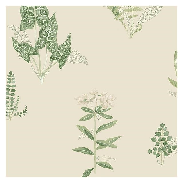 Looking PA34226 Paradise Green Floral Wallpaper by Norwall Wallpaper