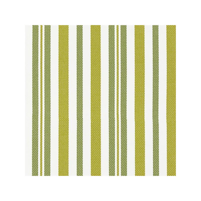 Looking 27188-002 Santorini Stripe Palm by Scalamandre Fabric