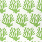 View 5011200 Coral Green Schumacher Wallpaper