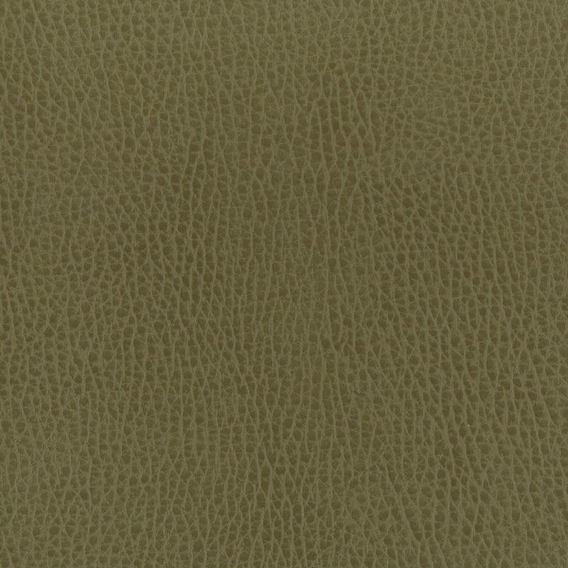 Sample MADD-10 Olive by Stout Fabric