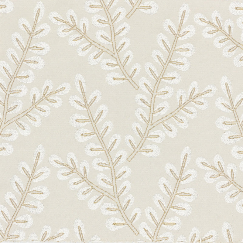 Purchase Cari-1 Caribe 1 Bisque by Stout Fabric