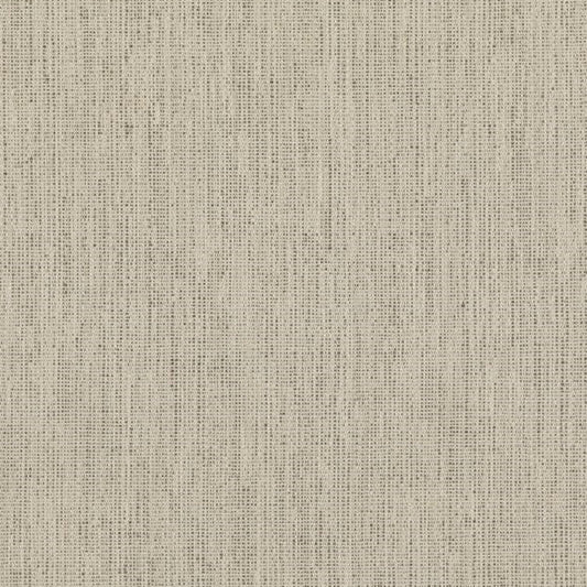 Select ED85317-910 Stipple Dove Texture by Threads Fabric