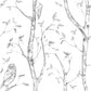Sample NUS1412 Grey Woods, Animals Peel and Stick Wallpaper