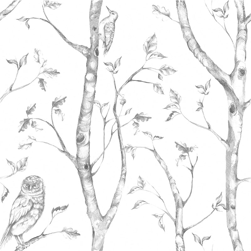 Sample NUS1412 Grey Woods, Animals Peel and Stick Wallpaper