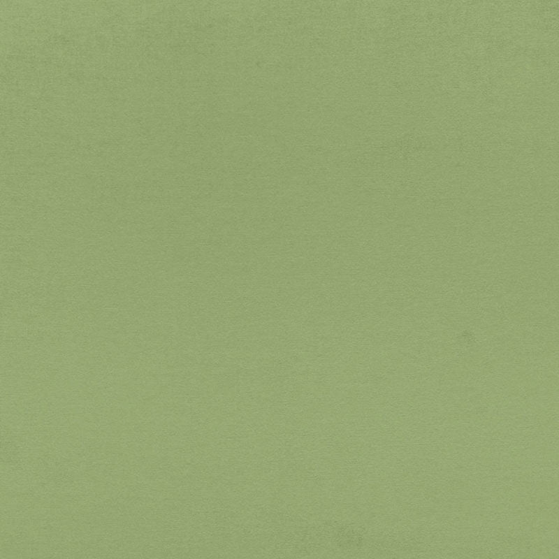 Purchase sample of 68193 Sophia Velvet, Willow by Schumacher Fabric