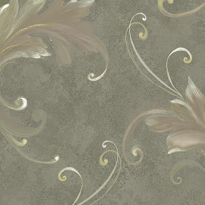 Shop CB21808 Beufort Gray Acanthus Leaves by Carl Robinson Wallpaper