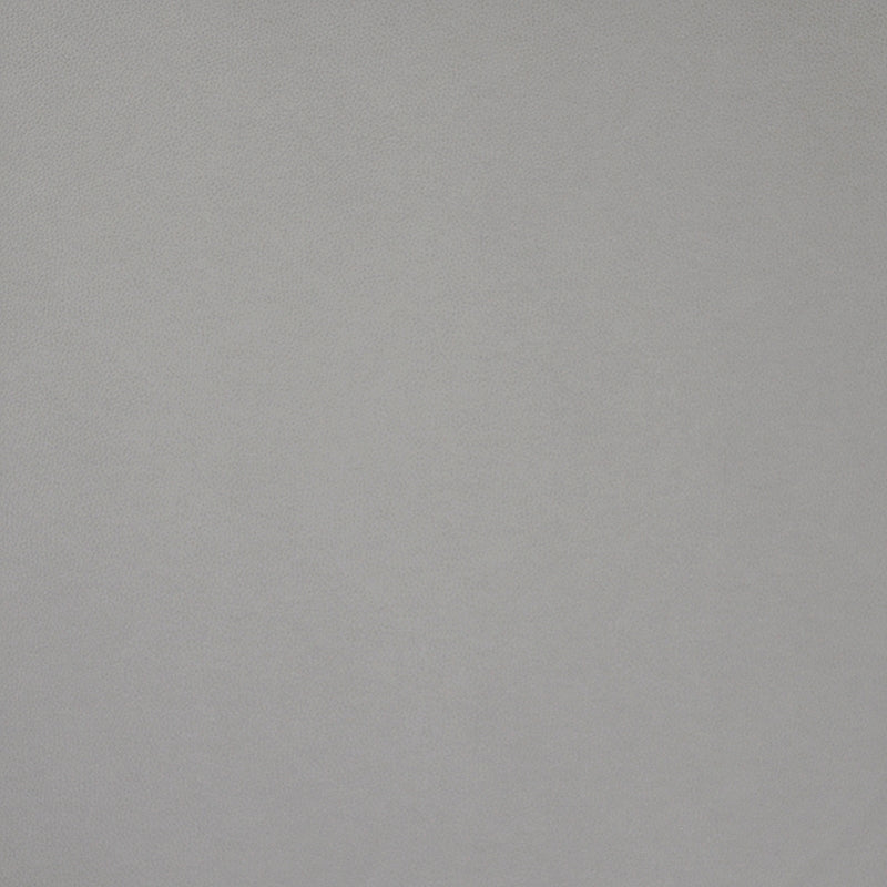 PQ52006 | Pony Express Feather by Maxwell Fabric