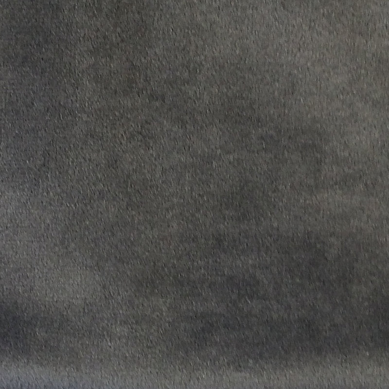 Shop A9 0002Suce Sucesso Pavement Gray by Aldeco Fabric