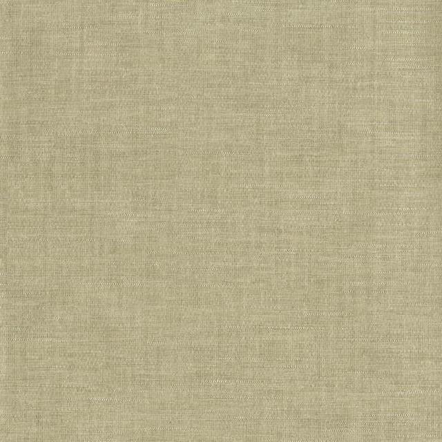 Buy COD0488N Moonstruck Expectation color Greens Testure by Candice Olson Wallpaper