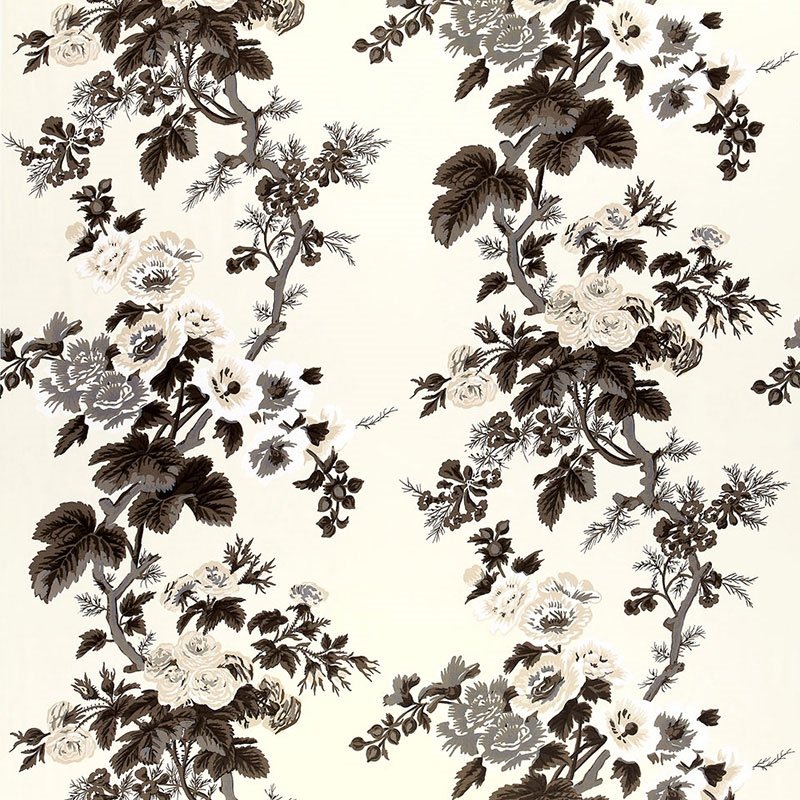Purchase sample of 174450 Pyne Hollyhock, Charcoal by Schumacher Fabric