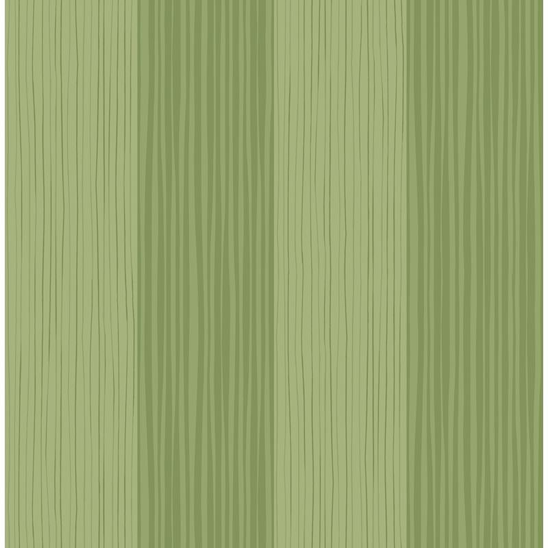 View DA61803 Day Dreamers Stripes Lime Green by Seabrook Wallpaper