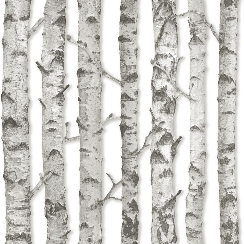Search DD138889 Design Department Merman Light Grey Birch Tree Wallpaper Light Grey Brewster