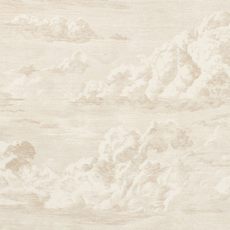 Purchase sample of 177000 Cloud Toile, Champagne by Schumacher Fabric