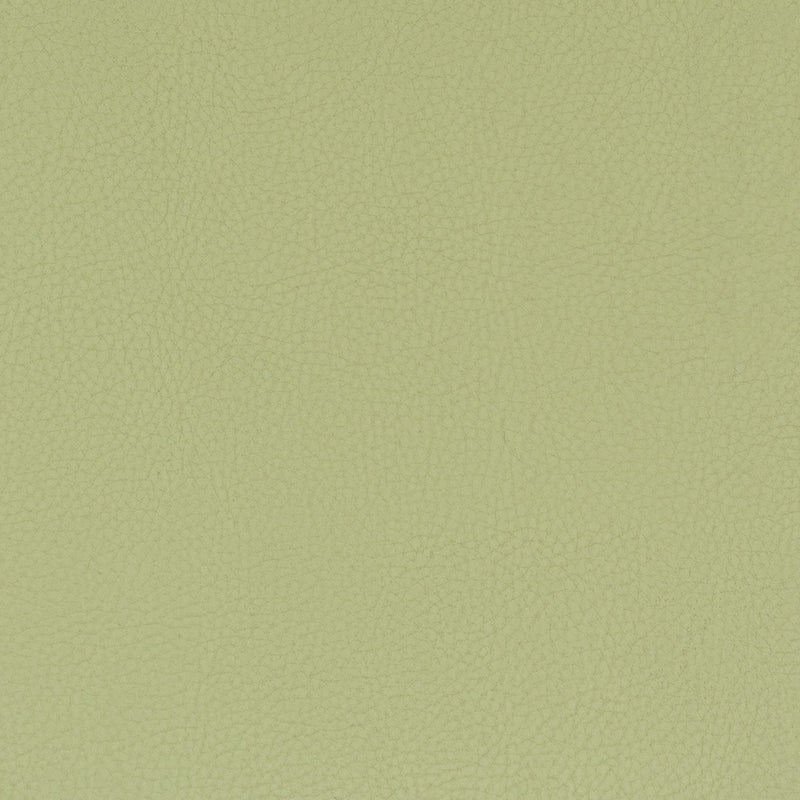 Sample Clas-8 Classic 8 Pistachio By Stout Fabric