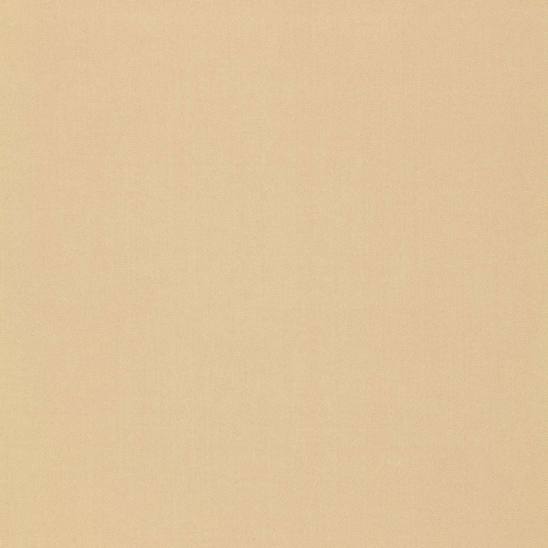Purchase sample of 64378 Isolde Cotton Weave, String by Schumacher Fabric