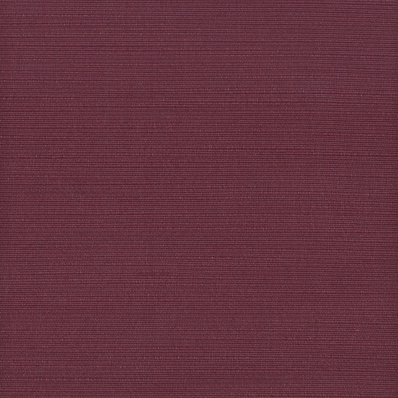 Sample ADMI-21 Petunia by Stout Fabric