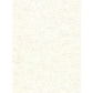 Sample 2921-51117 Warner Textures IX 2754 Main Street, Pembroke Cream Faux Plaster Wallpaper by Warner