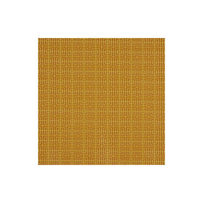 150627 | Wild Boxes | Pumpkin - Robert Allen Contract Fabric
