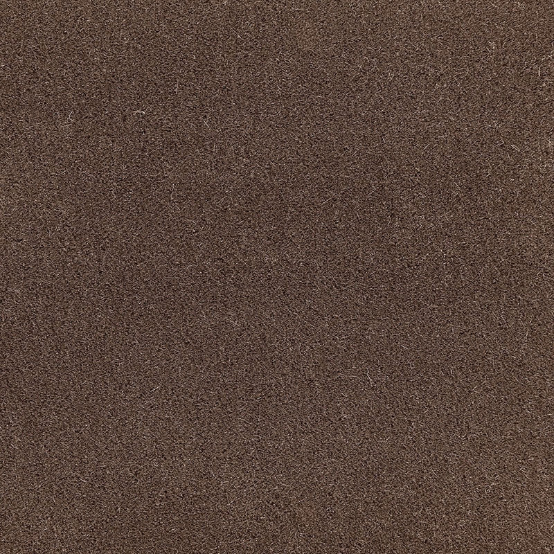 Purchase sample of 64889 San Carlo Mohair Velvet, Mink by Schumacher Fabric
