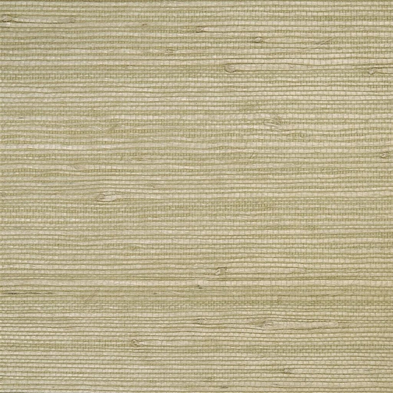 Sample P512-04 Kelston, Driftwood by Designer Guild Wallpaper