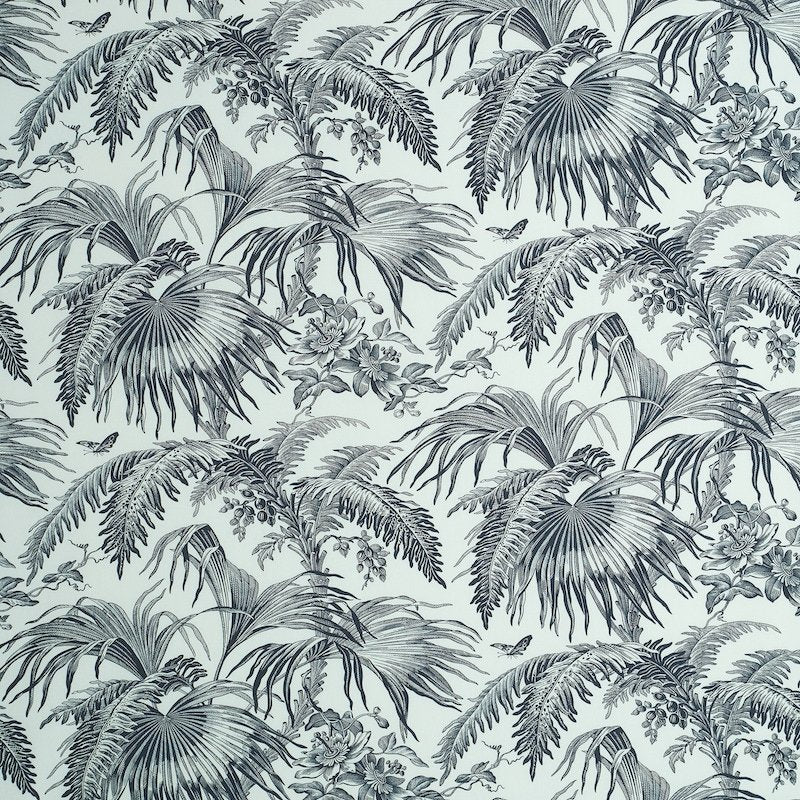 Find 179511 Toile Tropique Black by Schumacher Fabric
