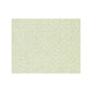 Sample SC 000227239 Risa Weave, Fern by Scalamandre   Fabric