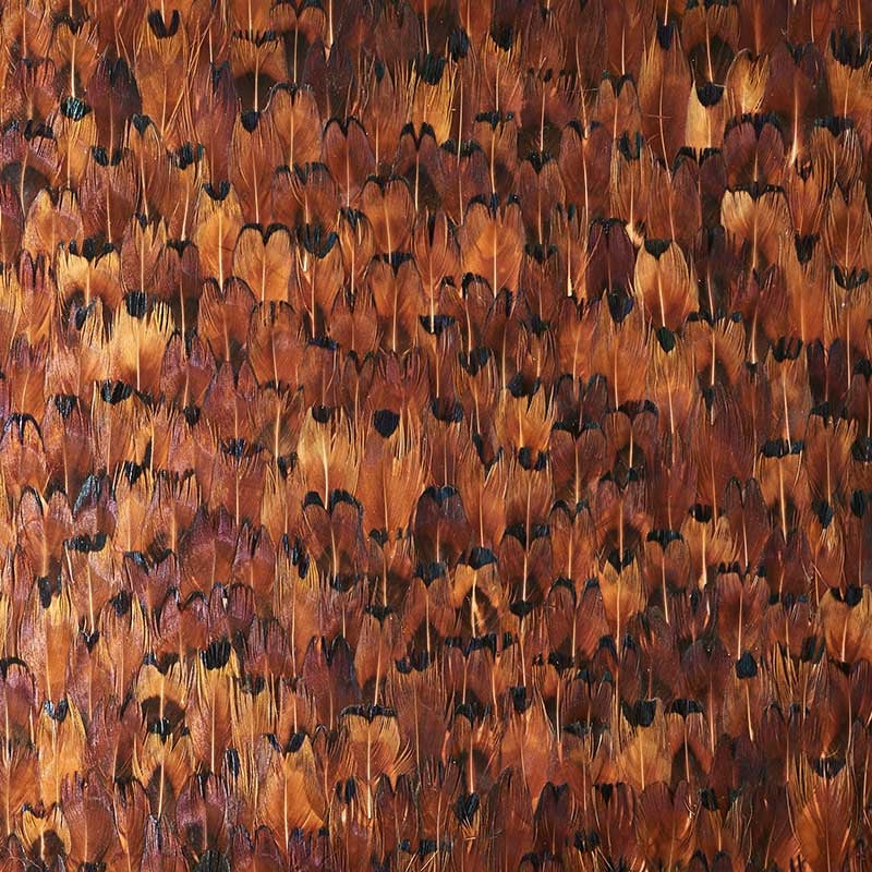 Select 5008388 Copper Chocolate Schumacher Wallpaper