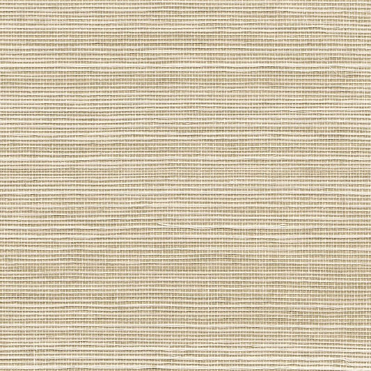 Purchase 5254 Bermuda Hemp Ecru Phillip Jeffries Wallpaper