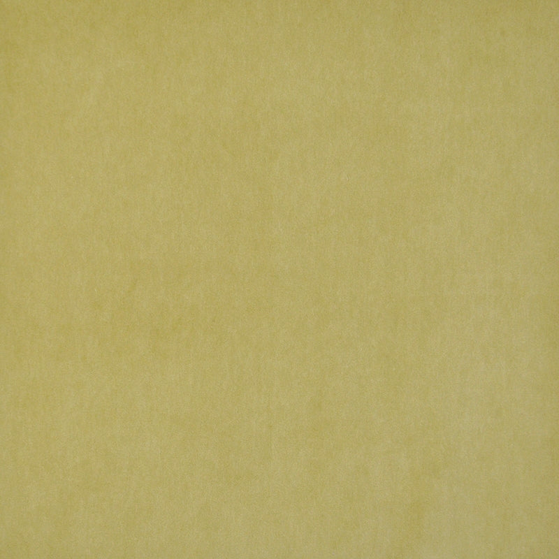 SIE424 | Snug Citron by Maxwell Fabric