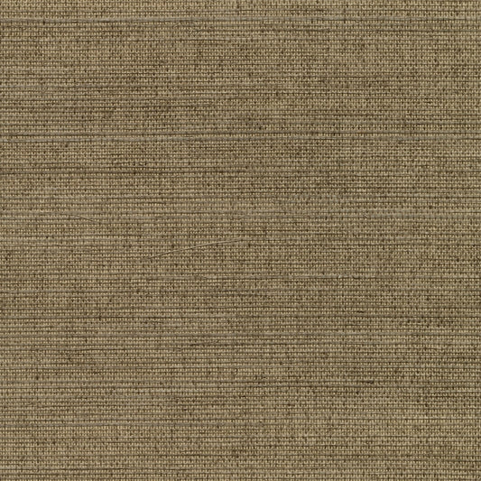 Find 2732-80086 Canton Road Kansu Brown Sisal Grasscloth Kenneth James