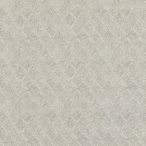 Shop ED75042-3 Boundary Dove by Threads Fabric